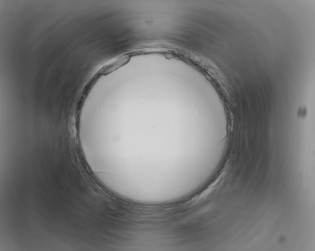 X0000116651457201001251147
