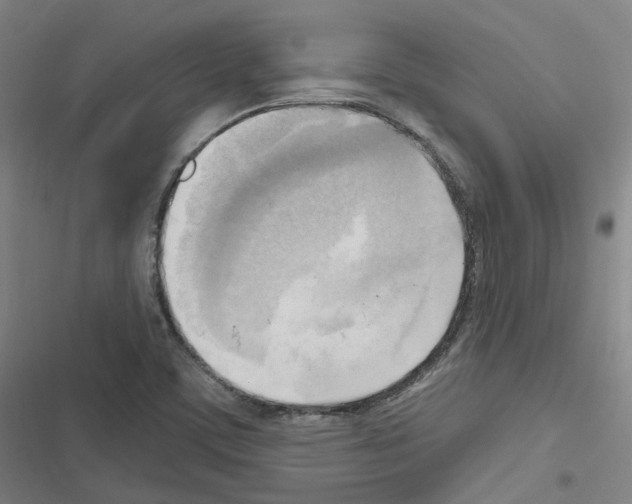X0000116651459201001251147