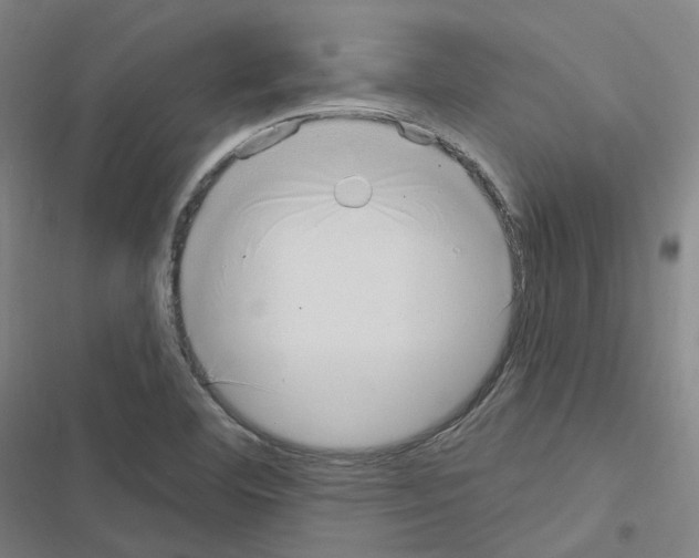 X0000116651460201001251147