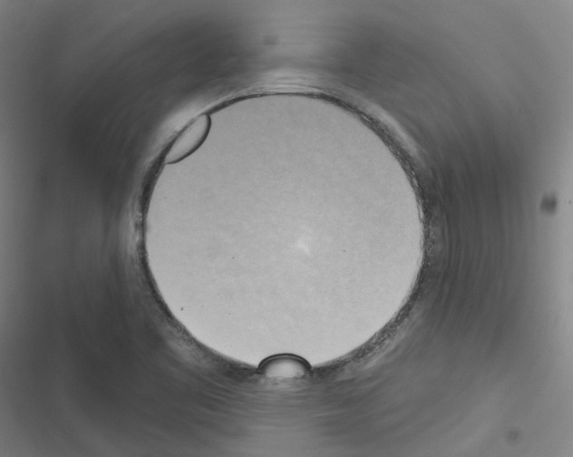 X0000116651461201001251147