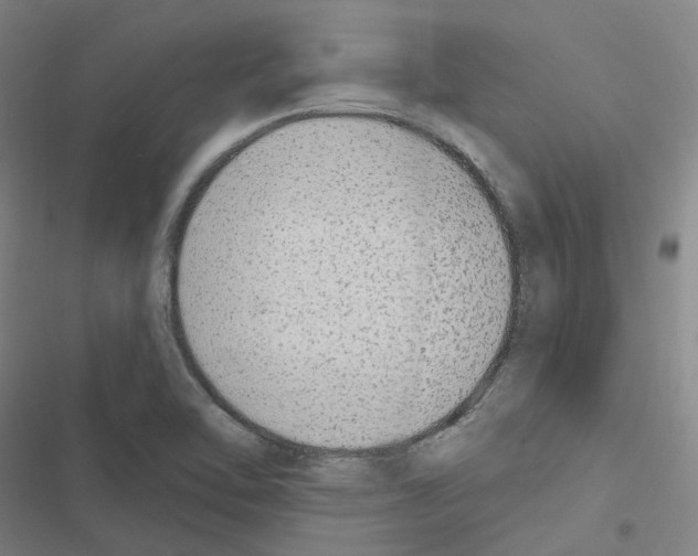 X0000116651462201001251147