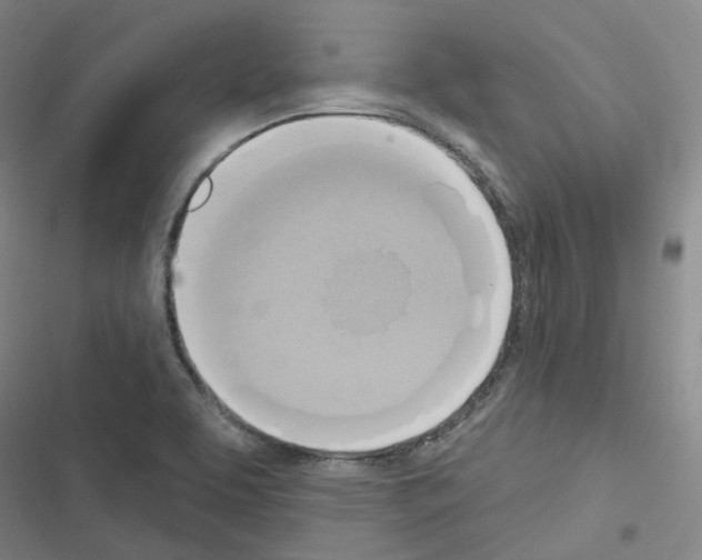 X0000116651463201001251147