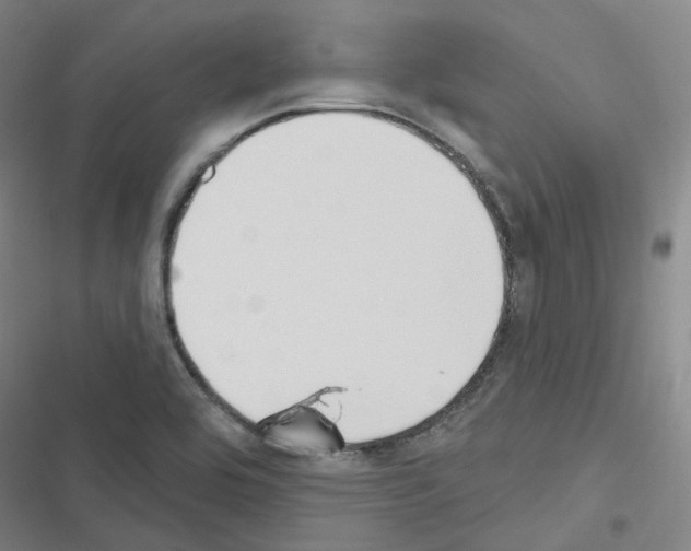 X0000116651464201001251147