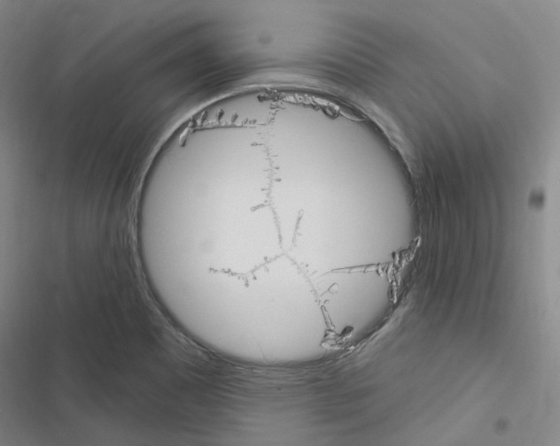 X0000116651465201001251147