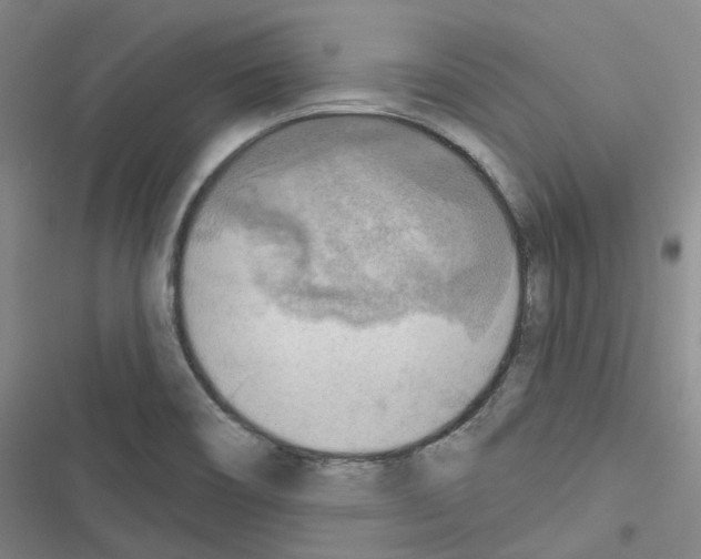 X0000116651466201001251147