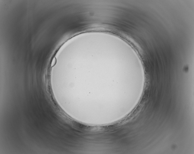 X0000116651467201001251147