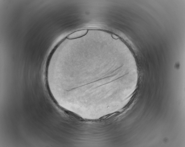 X0000116651469201001251146