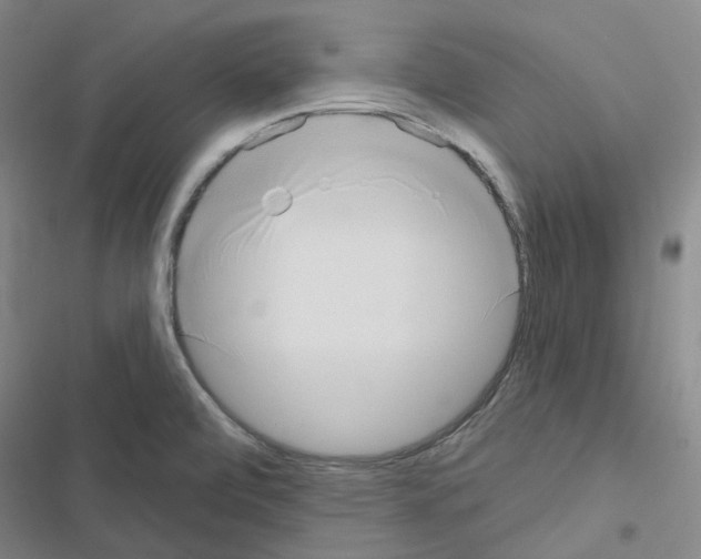 X0000116651472201001251146