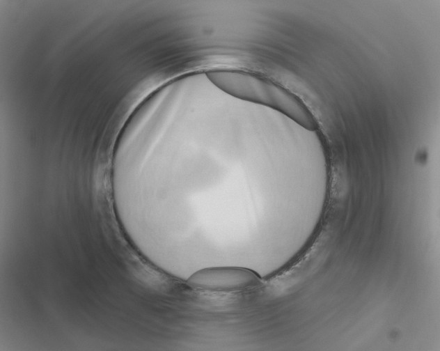X0000116651473201001251146