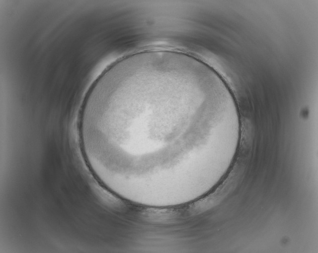 X0000116651474201001251146