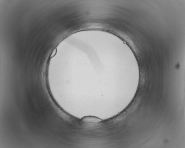 X0000116651475201001251146