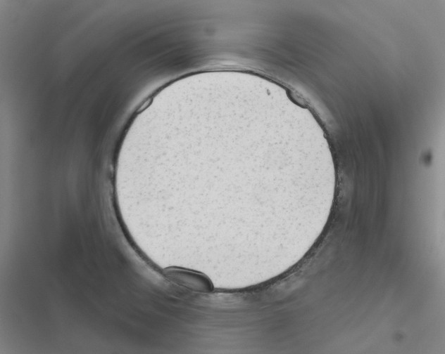 X0000116651476201001251146