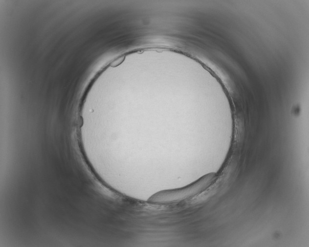 X0000116651477201001251146