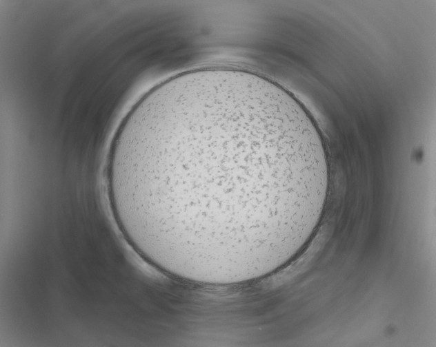 X0000116651478201001251146