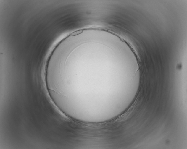 X0000116651480201001251146