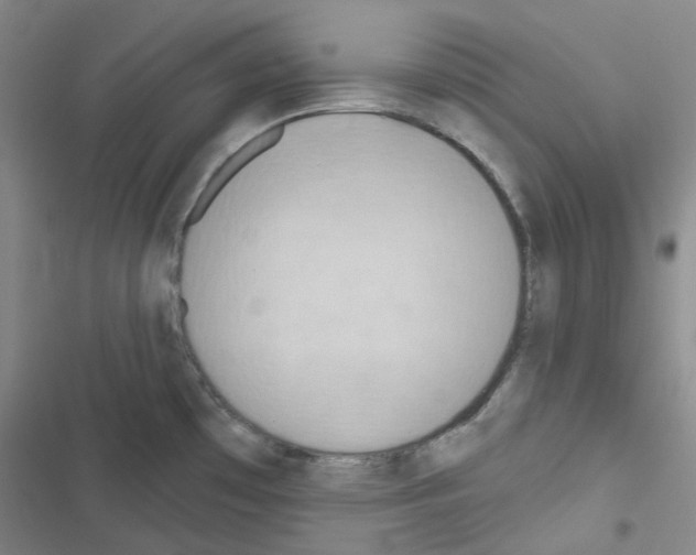 X0000116651481201001251146