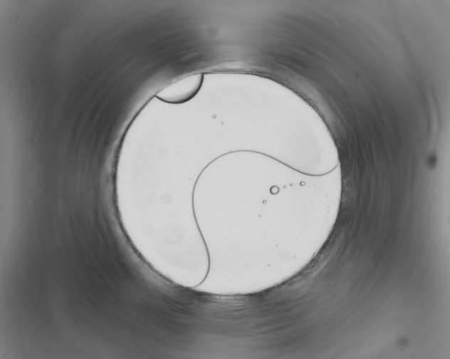 X0000116651483201001251146