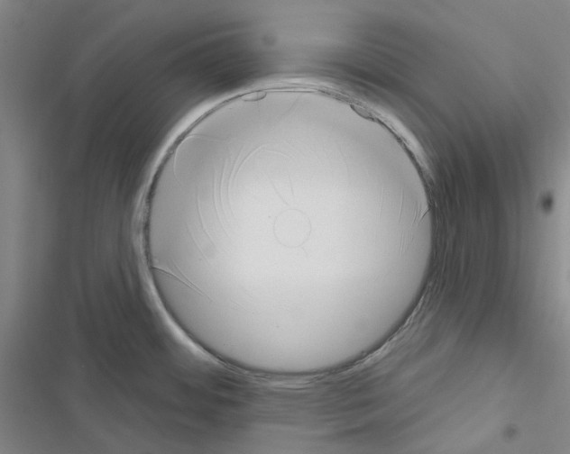 X0000116651484201001251146