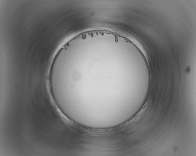 X0000116651485201001251146