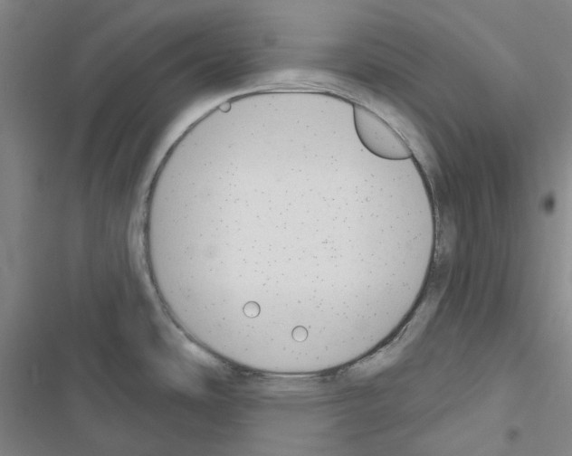 X0000116651486201001251146