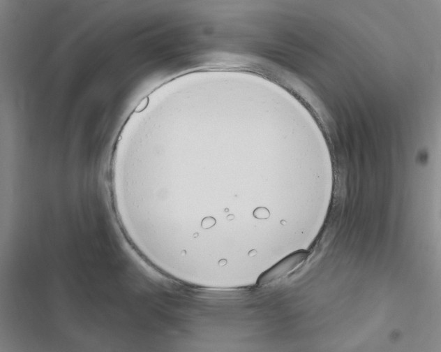 X0000116651487201001251146