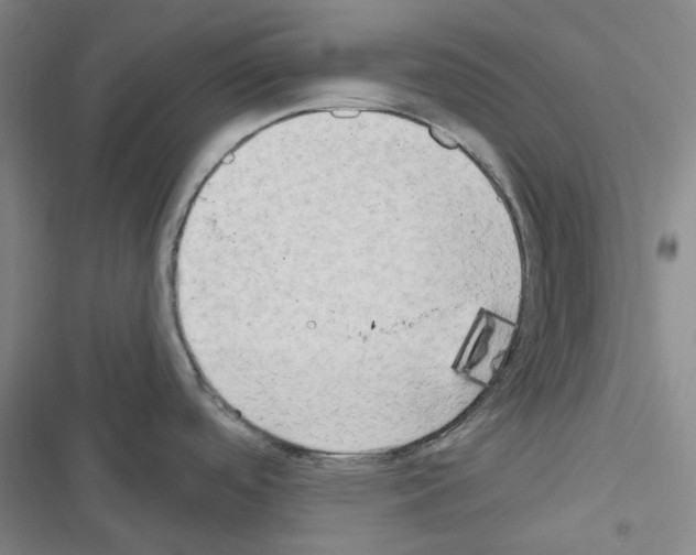X0000116651488201001251146