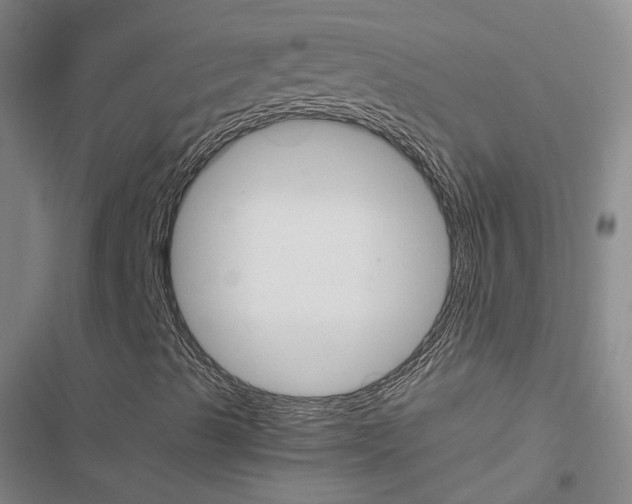 X0000116651489201001251146