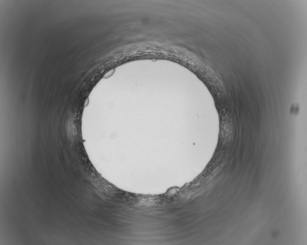 X0000116651490201001251146