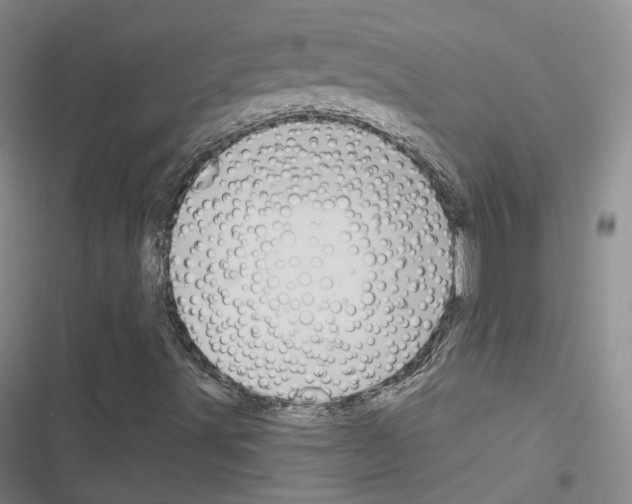 X0000116651491201001251146