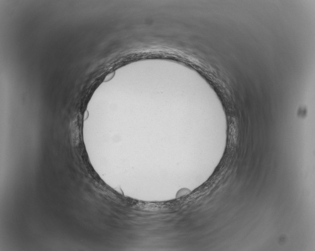 X0000116651493201001251146