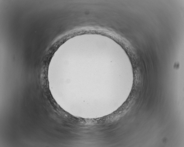 X0000116651494201001251146