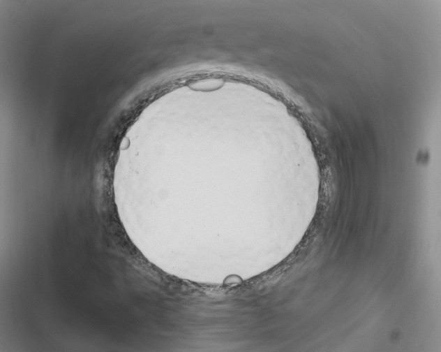 X0000116651495201001251146