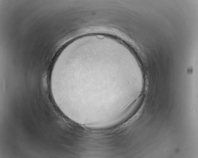 X0000116651497201001251146