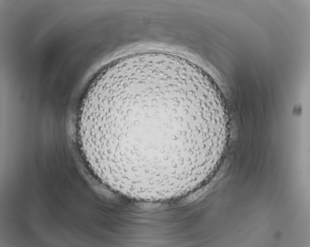 X0000116651499201001251146
