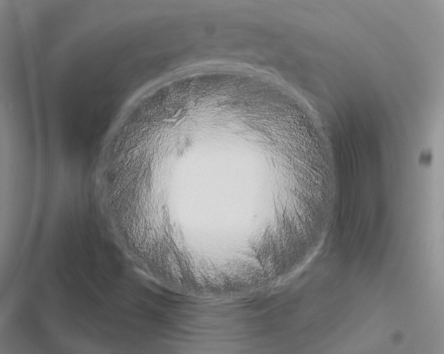 X0000116651501201001251146