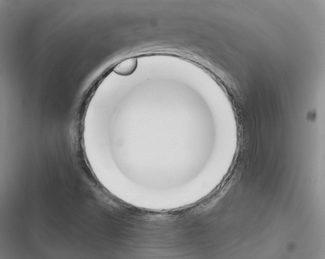X0000116651502201001251146