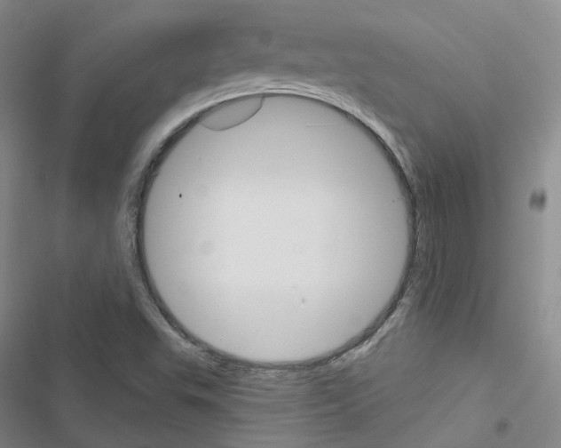 X0000116651503201001251146