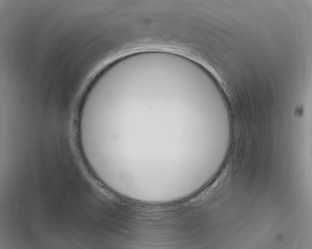 X0000116651507201001251146