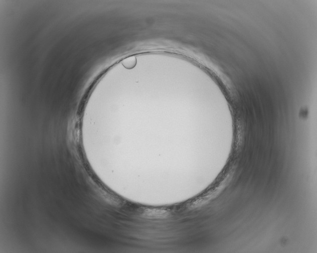 X0000116651509201001251146