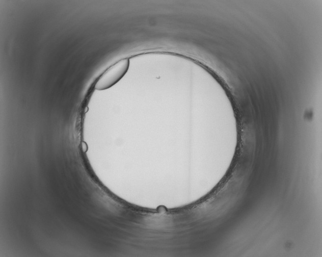 X0000116651510201001251146