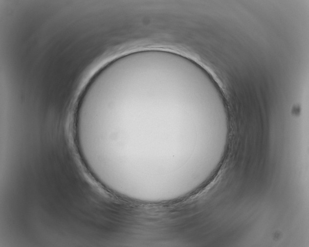 X0000116651511201001251146