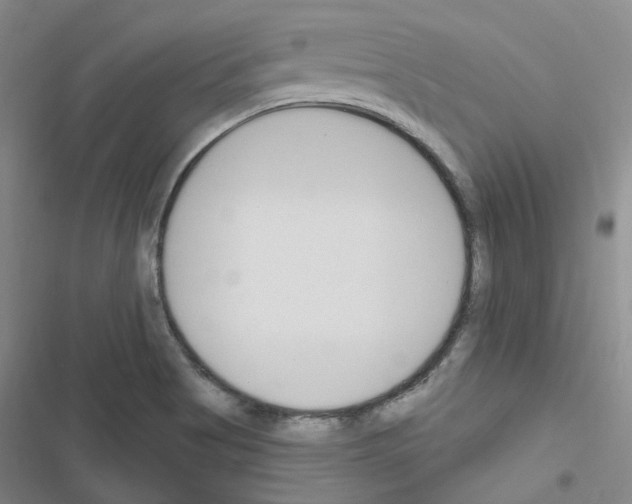 X0000116651513201001251146