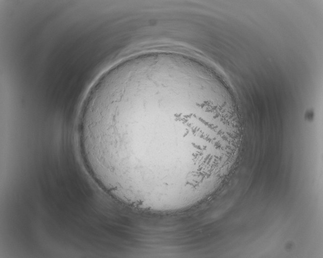 X0000116651514201001251146