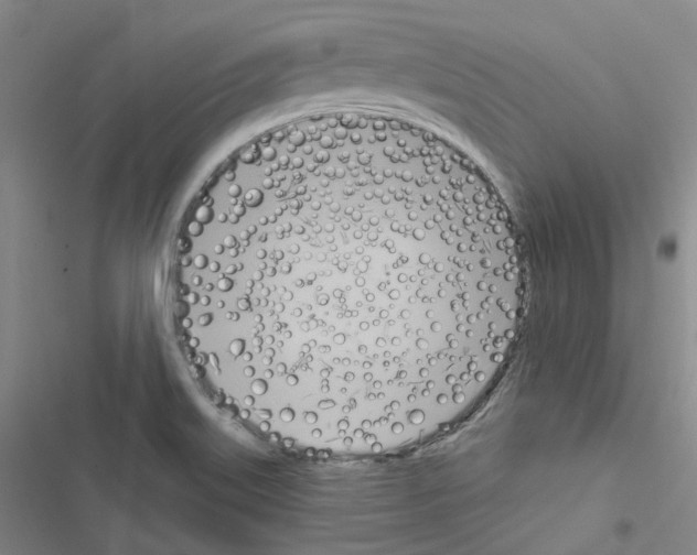 X0000116651515201001251146