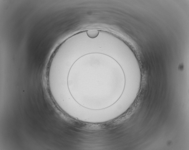 X0000116651517201001251146