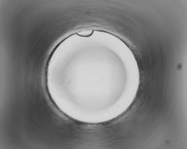 X0000116651518201001251146