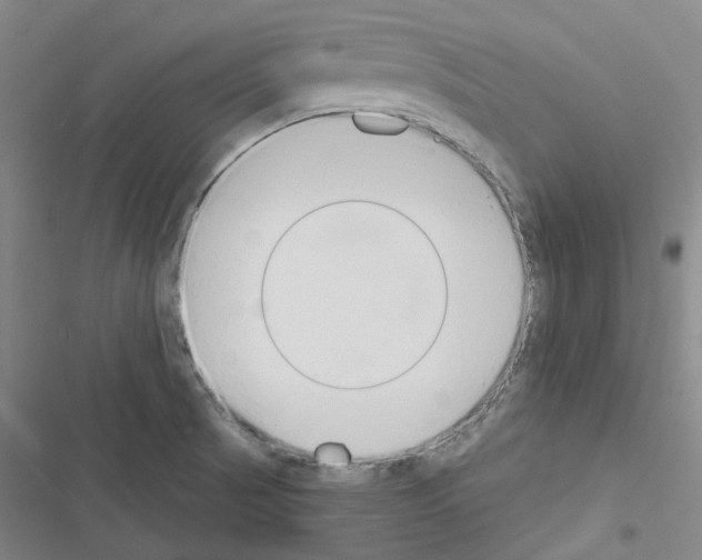 X0000116651521201001251146
