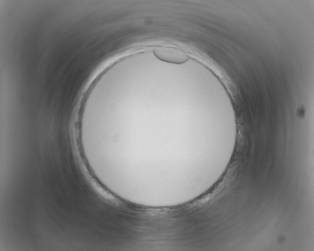X0000116651523201001251146