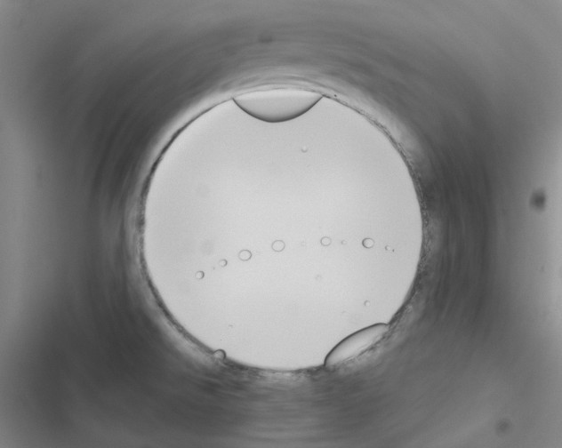 X0000116651526201001251146