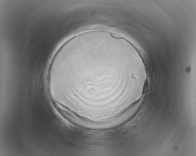 X0000116651527201001251146
